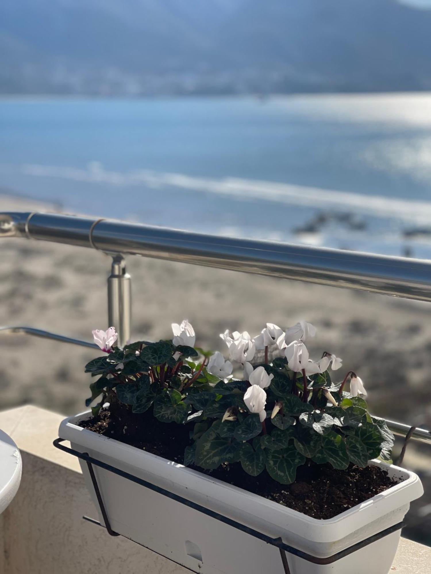 Seaview Apartments Rental Vlore Bagian luar foto